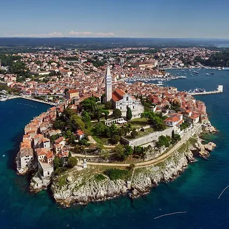 Mattossi *